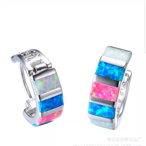 Jewelry - NEW! Women Silver Multicolor Opal Dangle earrings